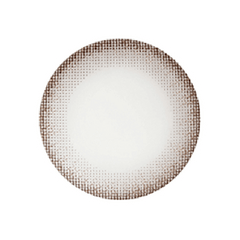 NEO N244 Natural Monet Brown Toric 散光訂製 年拋隱形眼鏡(1片)