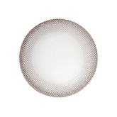 NEO N245 Natural Monet Gray Toric 散光訂製 年拋隱形眼鏡(1片)