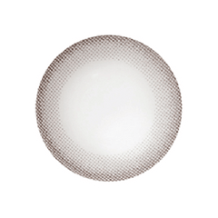 NEO N245 Natural Monet Gray Toric 散光訂製 年拋隱形眼鏡(1片)