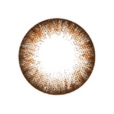 NEO N254 Extra Dali Toric Brown 散光訂製 年拋隱形眼鏡(1片)