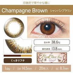 EverColor 1 Day Natural Champagne Brown 日拋美瞳隱形眼鏡(20片)