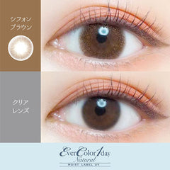 EverColor 1 Day Natural Moist Label Chiffon Brown 日拋彩色美瞳隱眼(20片)