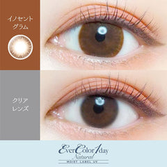 EverColor 1 Day Natural Moist Label Innocent Glam 日拋彩色美瞳隱眼(20片)