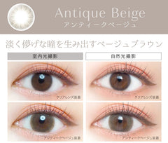 EverColor 1 Day Natural Moist Label Antique Beige 日拋美瞳(20片)
