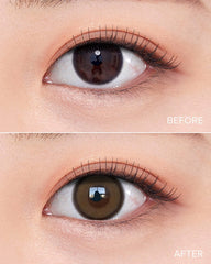 OLENS 1-Day Realish Brown（日拋/10片）