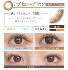 EverColor 1 Day Natural Apricot Brown 日拋美瞳隱形眼鏡（20片）