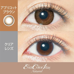 EverColor 1 Day Natural Apricot Brown 日拋美瞳隱形眼鏡（20片）