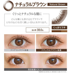 EverColor 1 Day Natural Brown 日拋美瞳隱形眼鏡（20片）