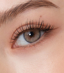Olens Nella 1Day Ash Beige（日拋/10片）