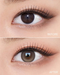 OLENS 1-Day Muse Shine Brown（日拋/10片）