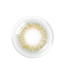 Olens Scandi 1-Day Gray（日拋/20片）