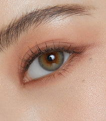 Olens Scandi 1-Day Gray（日拋/20片）