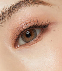OLENS 1 Day French Gold 3con Gray（日拋/10片）