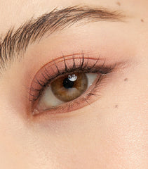 OLENS 1 Day French Gold 3con Hazel（日拋/10片）