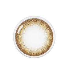 OLENS Pointe Brown（半年拋/1片）