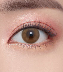 OLENS 1 Day Ending Brown（日拋/20片）