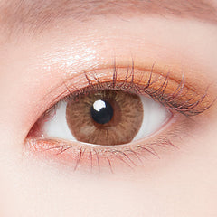 Lenstown 梨芝瞳 247 Fit Brown 隱眼日拋（10片）