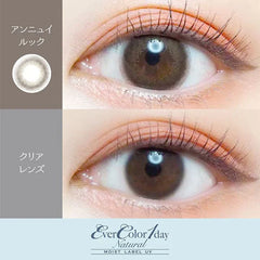 EverColor 1 Day Natural Moist Label Annules 日拋美瞳（20片）