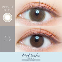 EverColor 1 Day Natural Moist Label Antique Beige 日拋美瞳（20片）